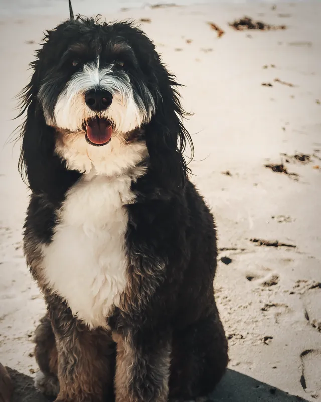 Murphy